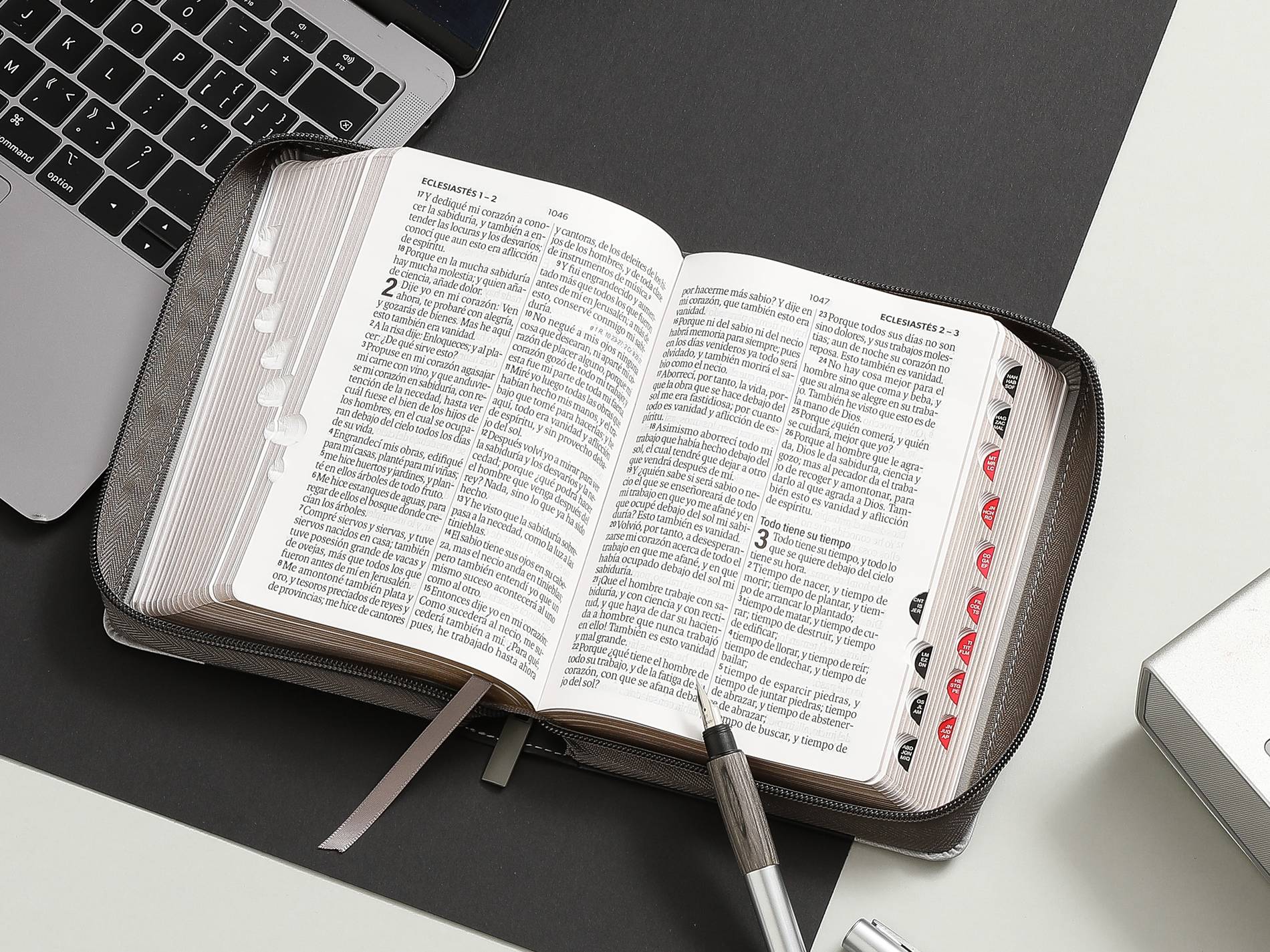 Biblia RVR60 Tamaño compacto Letra Grande 12 puntos i/piel tricolor gris/gris/gris León con cierre y con índice - Imagen 5