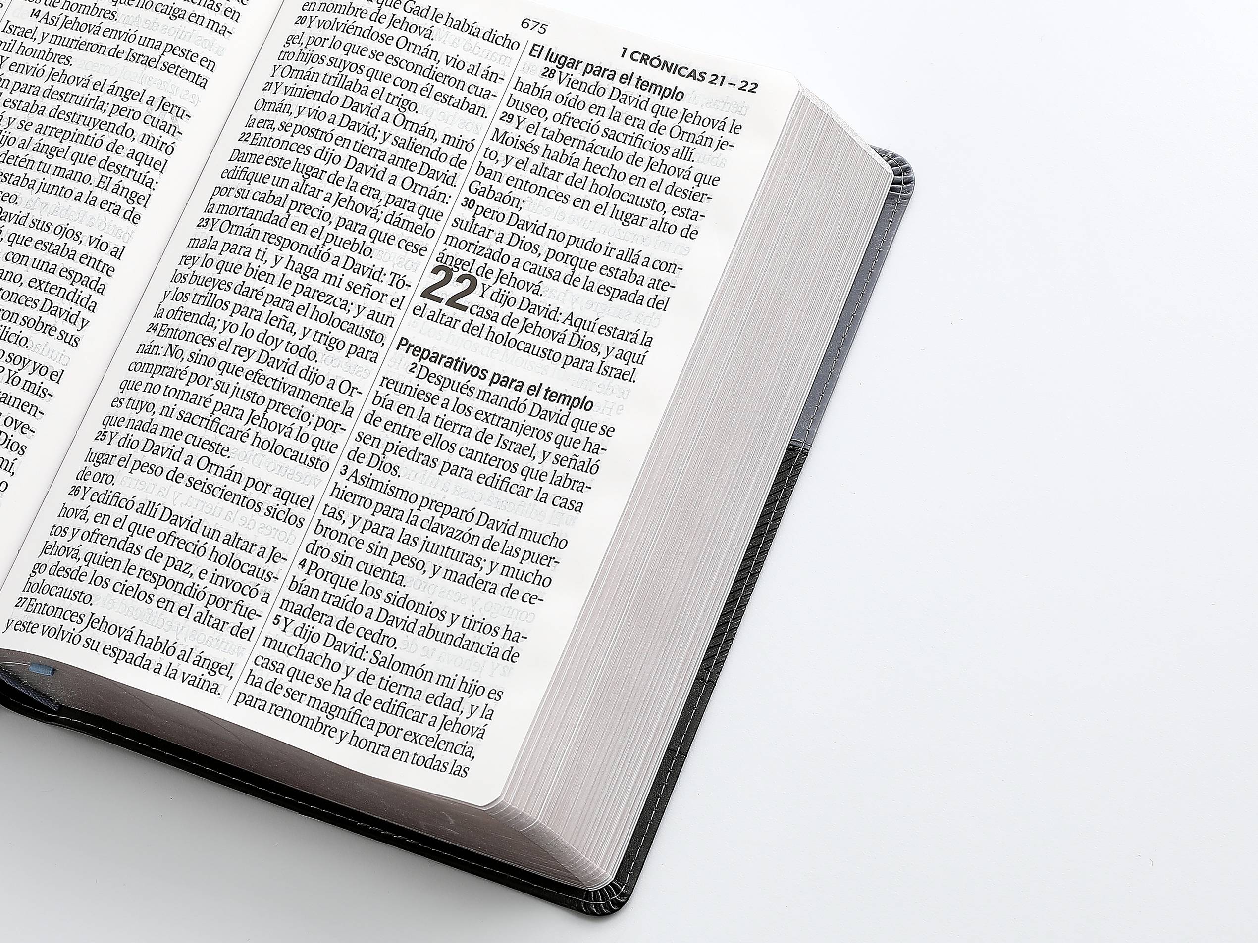 Biblia RVR60 Letra Súper Gigante 19 puntos i/piel Negro Geométrico - Imagen 6