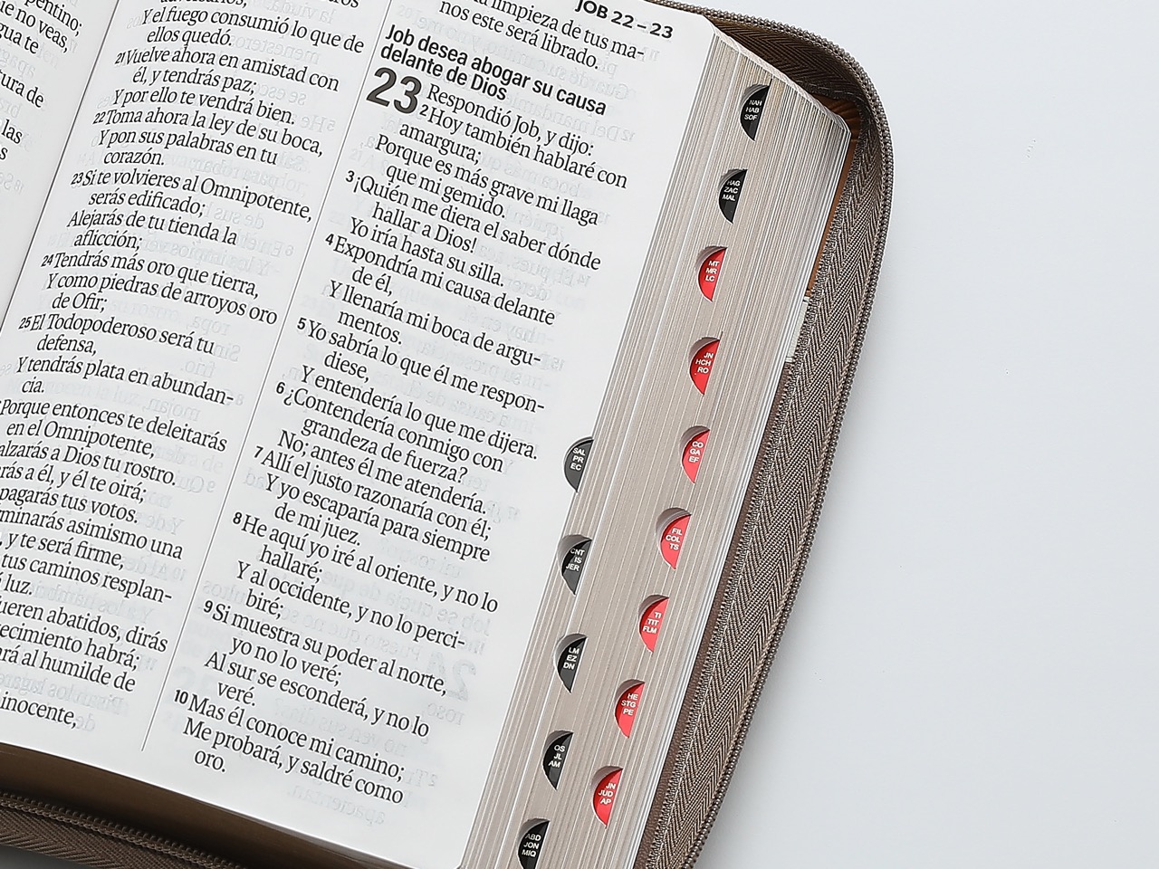 Biblia RVR60 Letra Súper Gigante 19 pts Café Piel Cierre Índice - Imagen 7