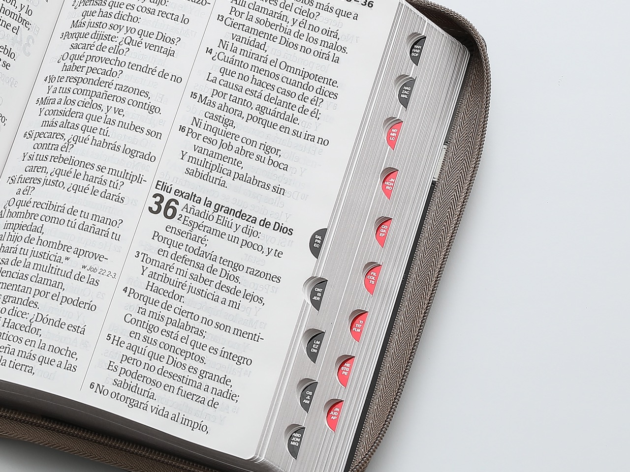 Biblia RVR60 Letra Súper Gigante 19 Puntos i/piel Tech Dot Negro/Café/Beige Cierre/índice - Imagen 2