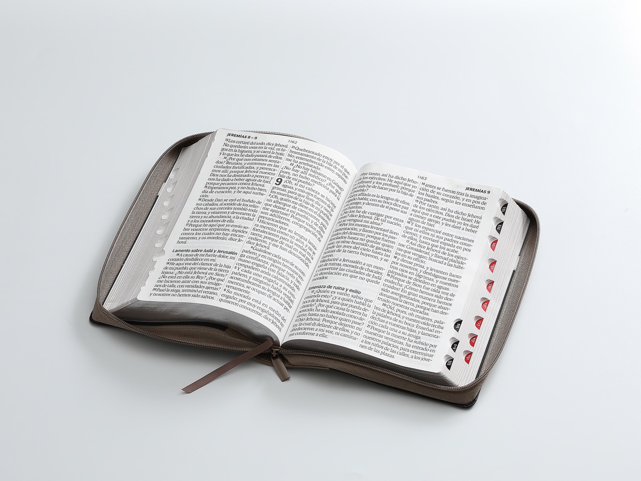 Biblia RVR60 Letra Súper Gigante 19 Puntos i/piel Tech Dot Negro/Café/Beige Cierre/índice - Imagen 7