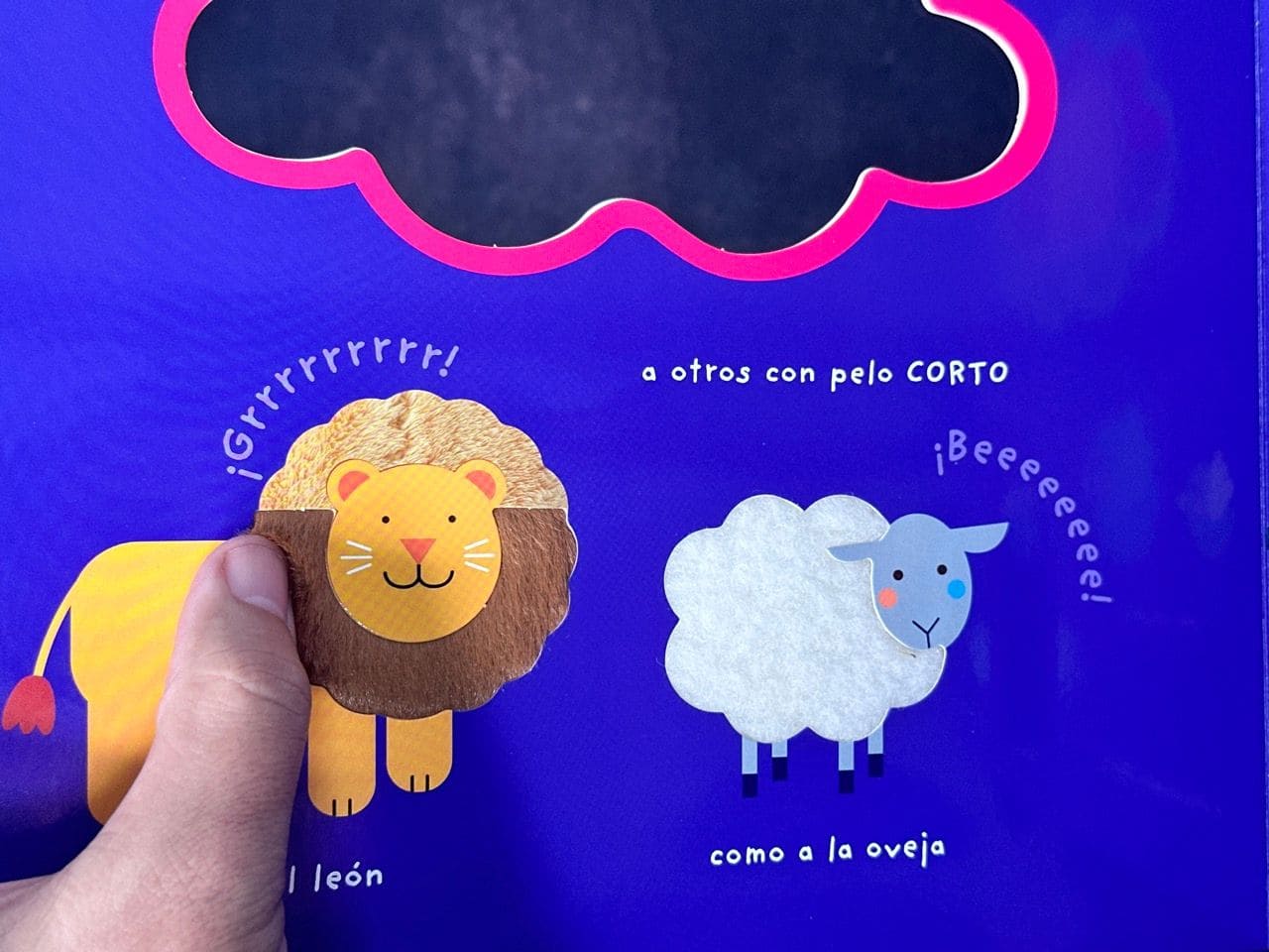 ¡Cuántos Animales! El Arca de Noé - Toca y juega - Imagen 2