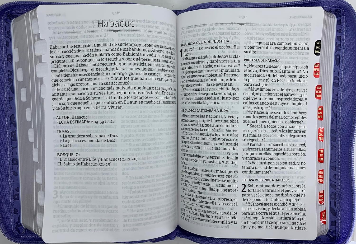 Biblia RVR60 Manual Letra Grande Semil Piel /Lavanda Indice Cierre - Imagen 3