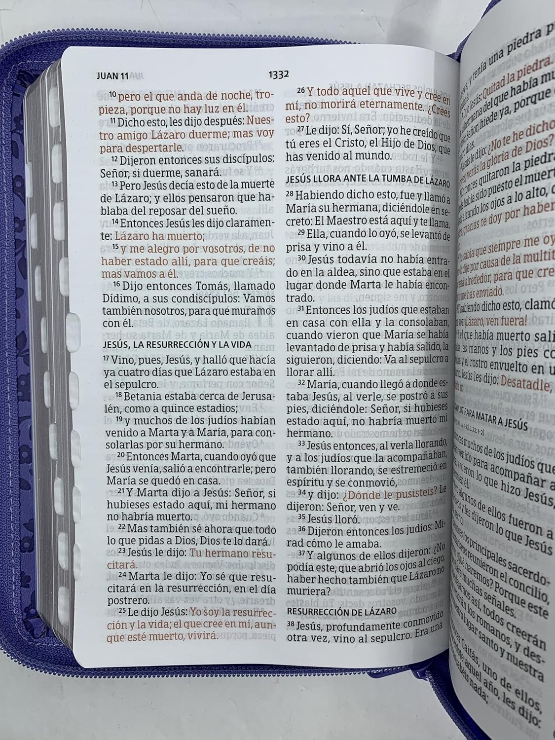 Biblia RVR60 Manual Letra Grande Semil Piel /Lavanda Indice Cierre - Imagen 6