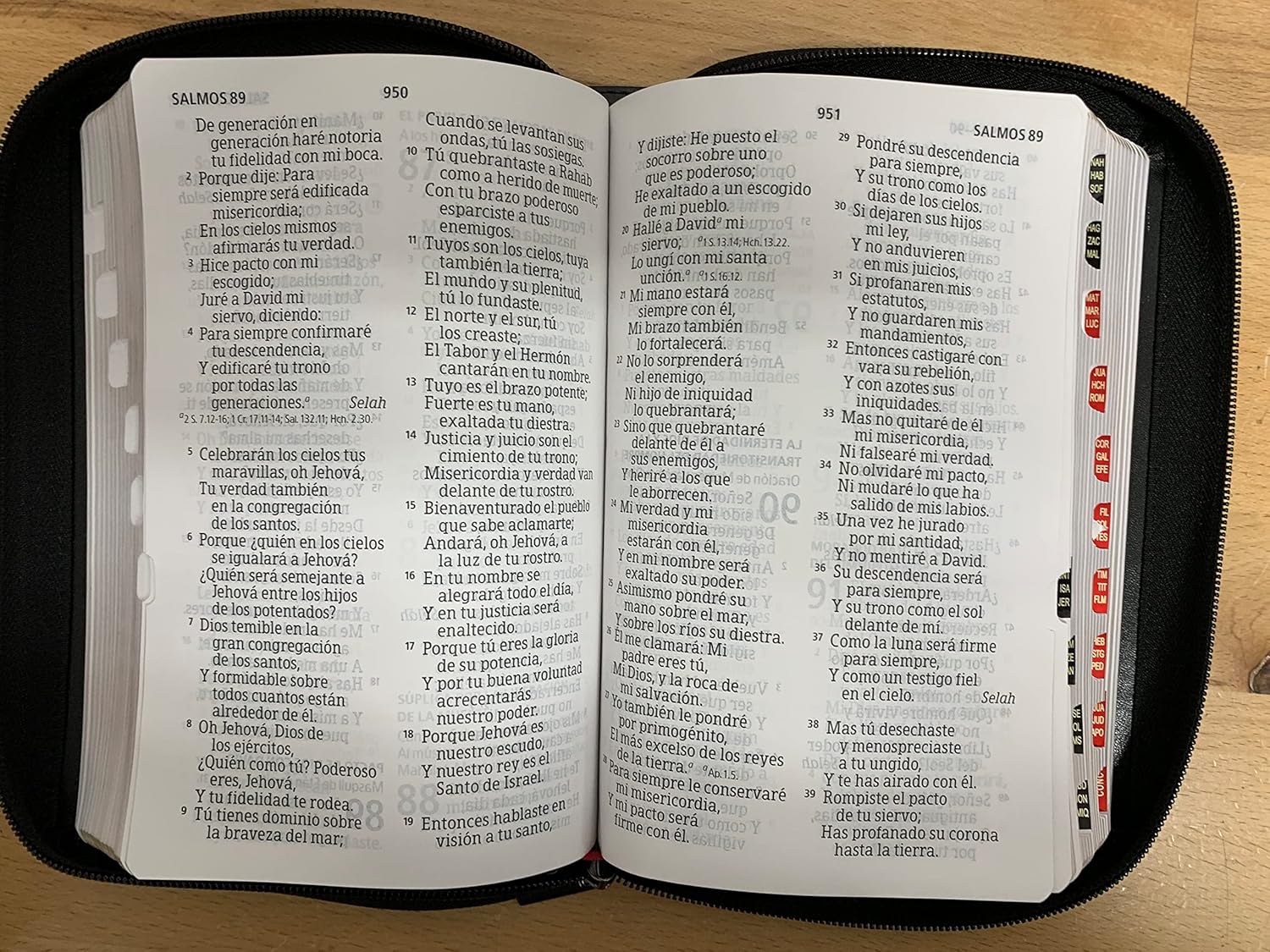 Biblia RVR60 Manual Letra Gigante Semil Piel Negro Indice Cierre - Imagen 5