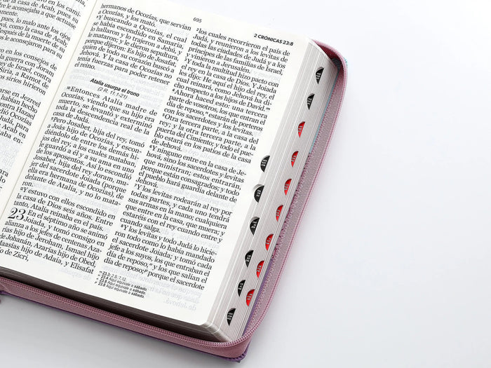 Biblia Rvr 1960 Letra Super Gigante 19 Puntos Tricolor Azul Rosa Lila Cierre Indice - Imagen 7
