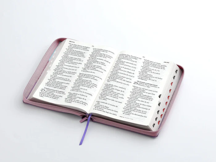 Biblia Rvr 1960 Letra Super Gigante 19 Puntos Tricolor Azul Rosa Lila Cierre Indice - Imagen 4