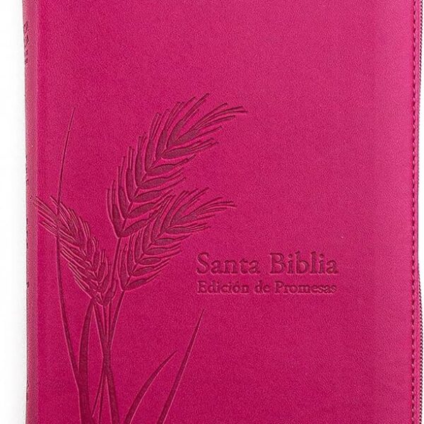 Biblia de Promesas RVR60 Letra Grande 12 pts Piel Cierre