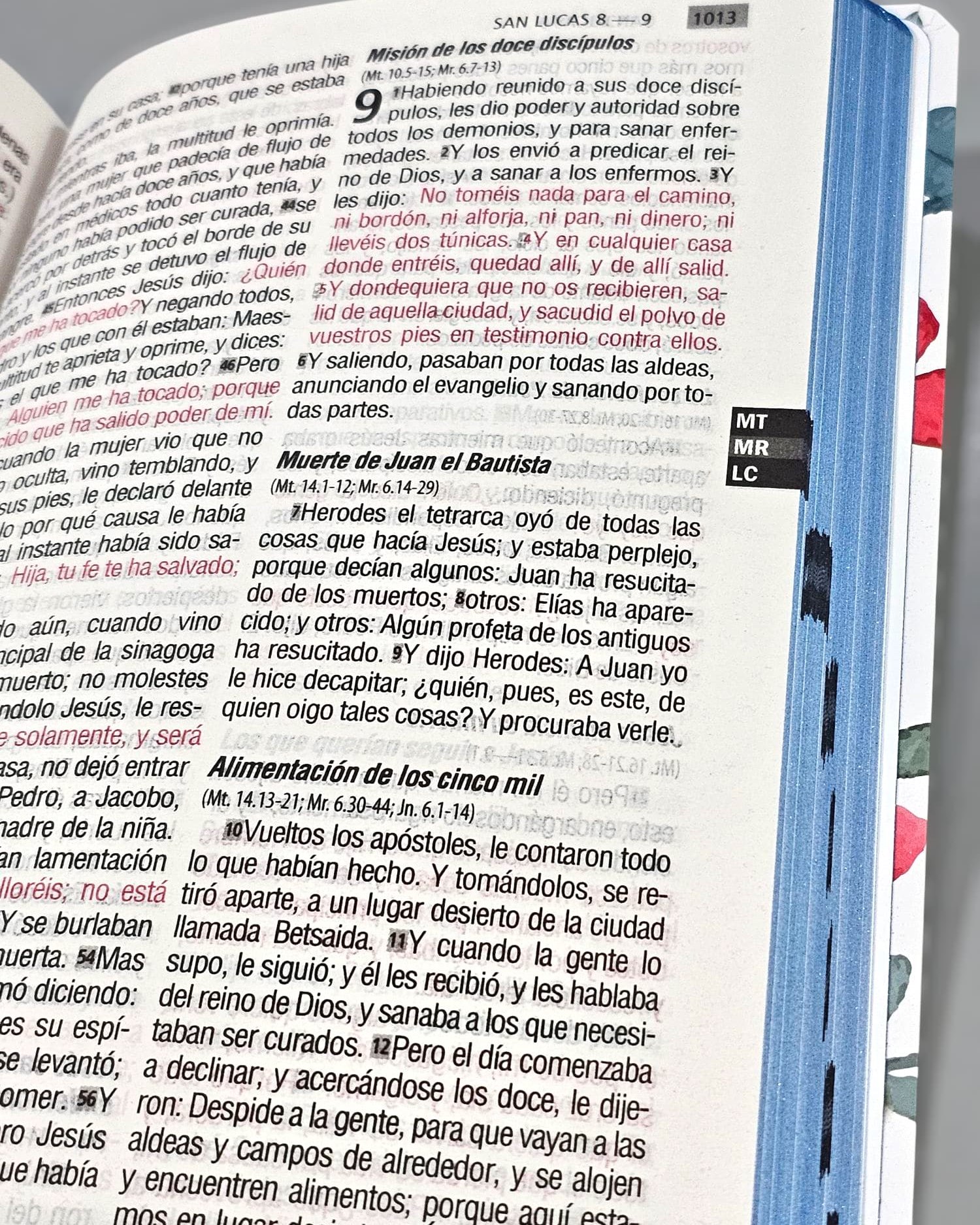 Biblia Reina Valera 1960 Flores Letra Gigante 14 puntos - Imagen 4