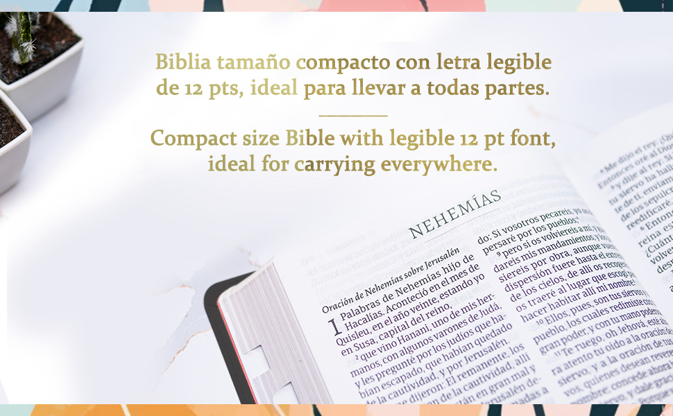 Biblia RVR60 Ceniza Letra Grande Tamaño Manual Imitacion Piel - Imagen 5
