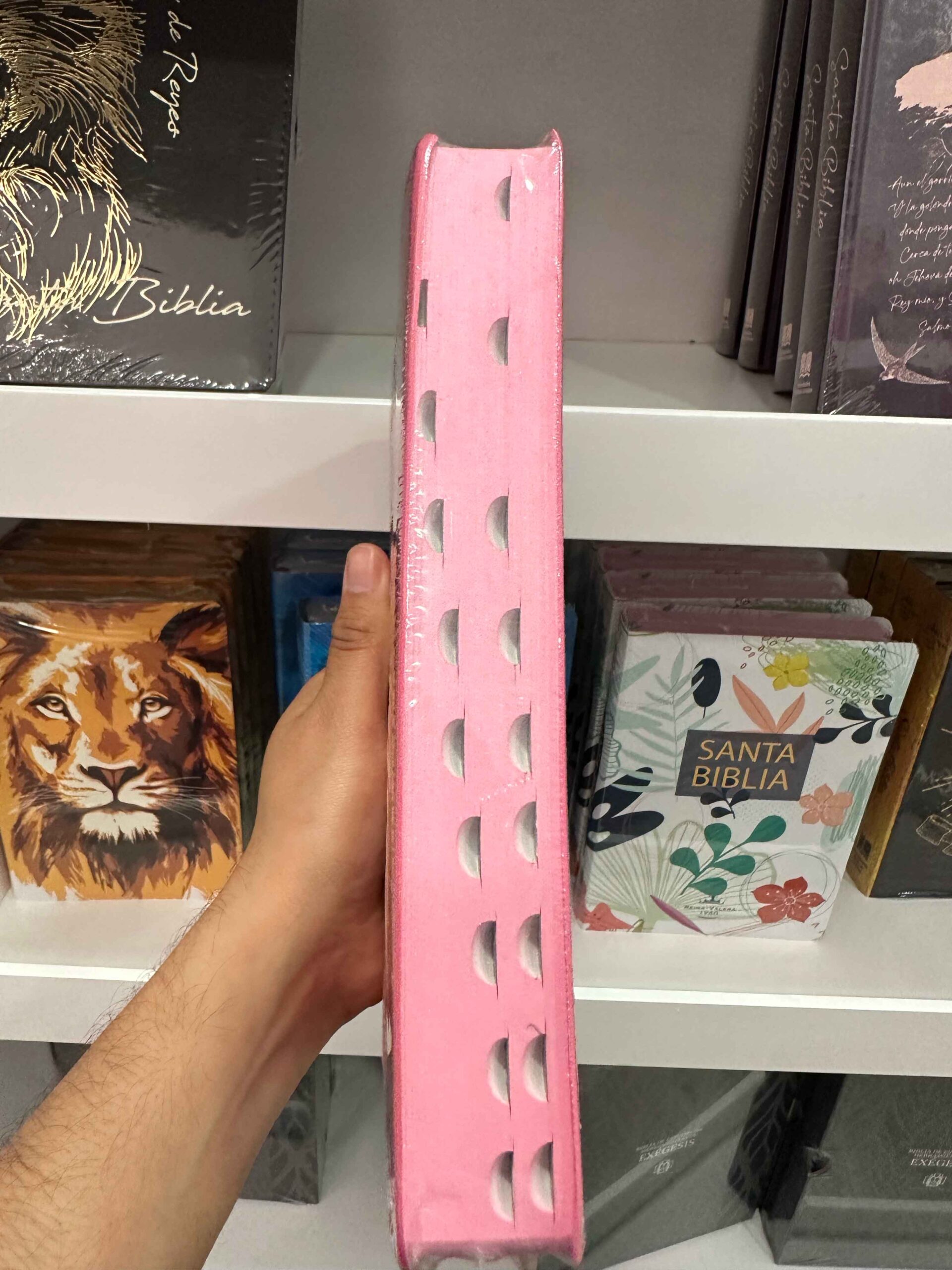 Biblia RVR 1960 Tapa Símil Piel diseño León Rey de Reyes Rosa Letra grande - Imagen 4
