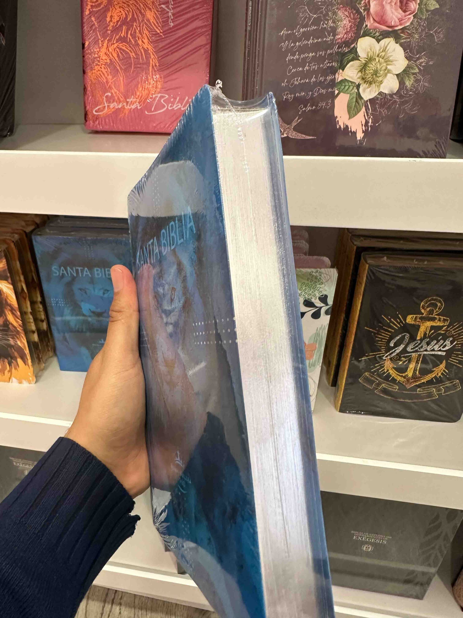 Biblia RVR1960 Letra Grande 12 puntos León azul - Imagen 4