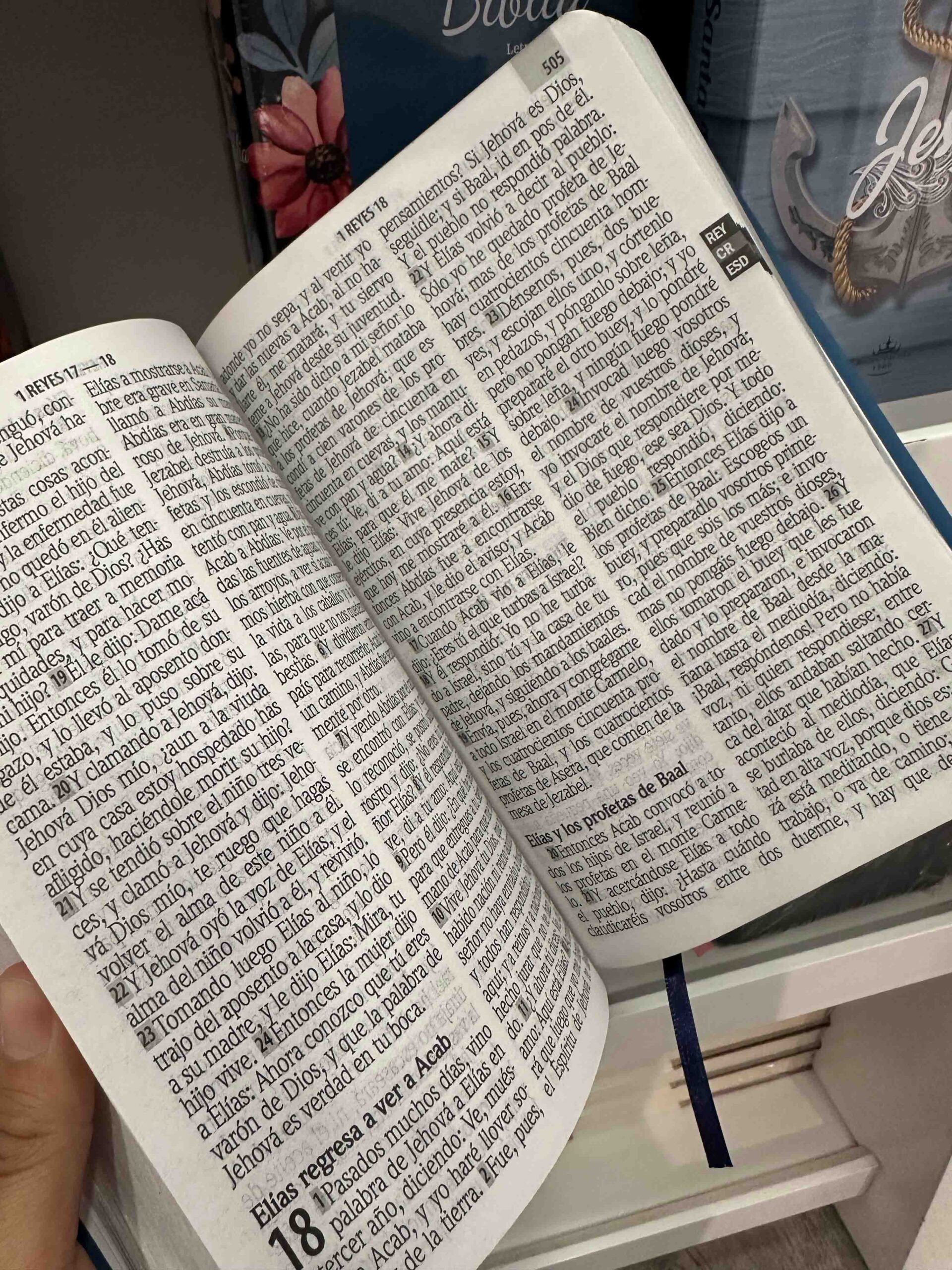 Biblia Letra Gigante Ancla 14 puntos - Imagen 7