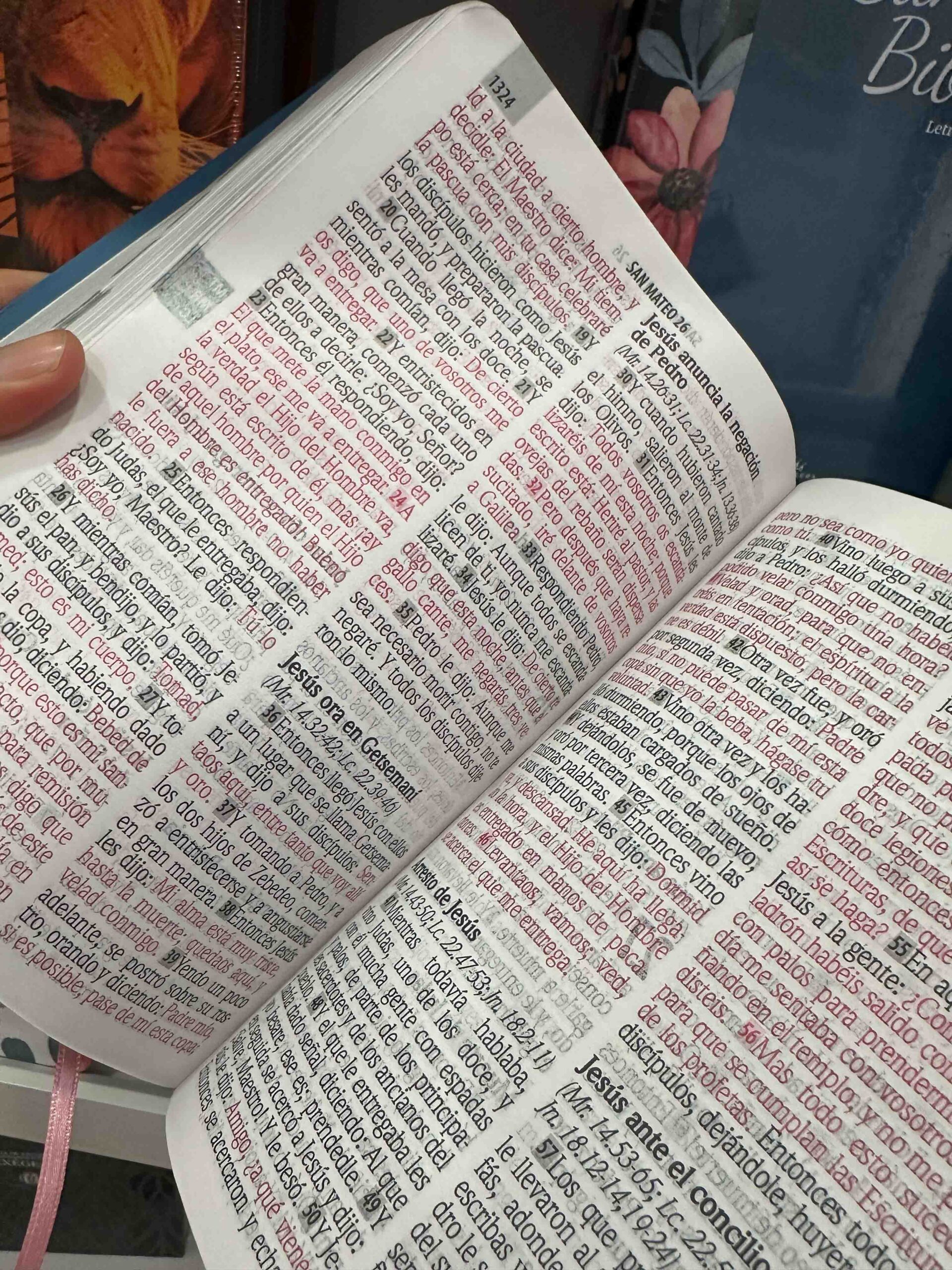 Biblia Letra Gigante Ancla 14 puntos - Imagen 6