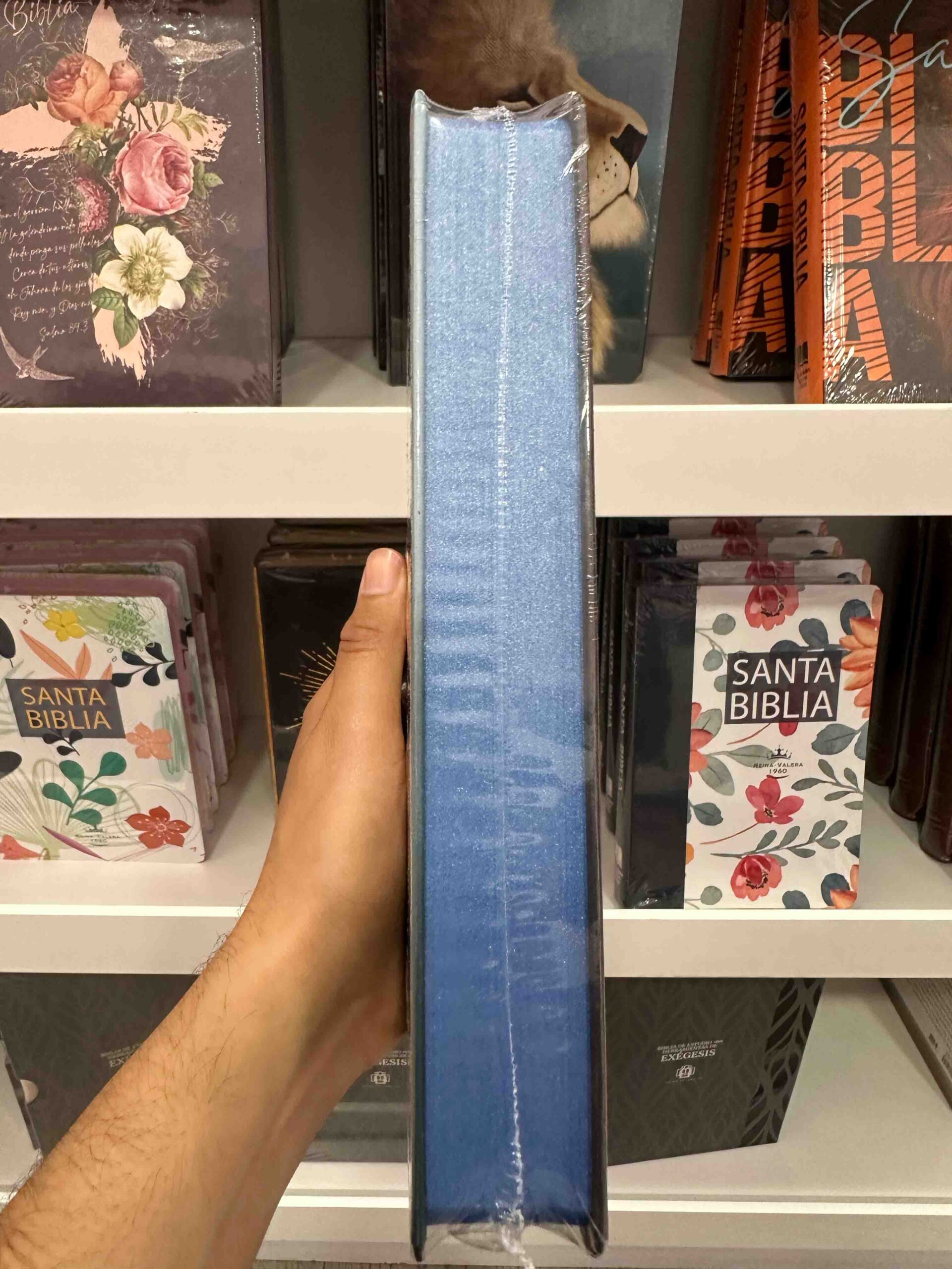 Biblia Diseño de León Azul Tapa Dura Letra Gramde - Imagen 4