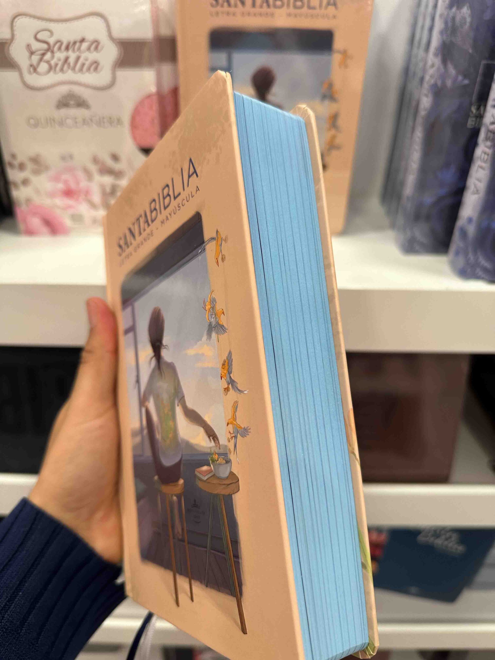 Biblia Reina Valera 1960 Letra Grande PJR Mayúscula tapa Dura rosa - Imagen 8