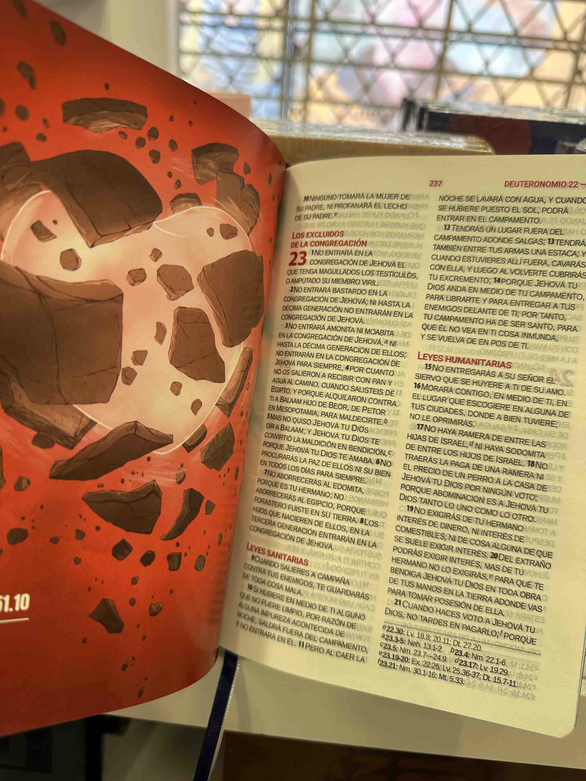 Biblia Reina Valera 1960 Letra Grande PJR Mayúscula tapa Dura rosa - Imagen 9