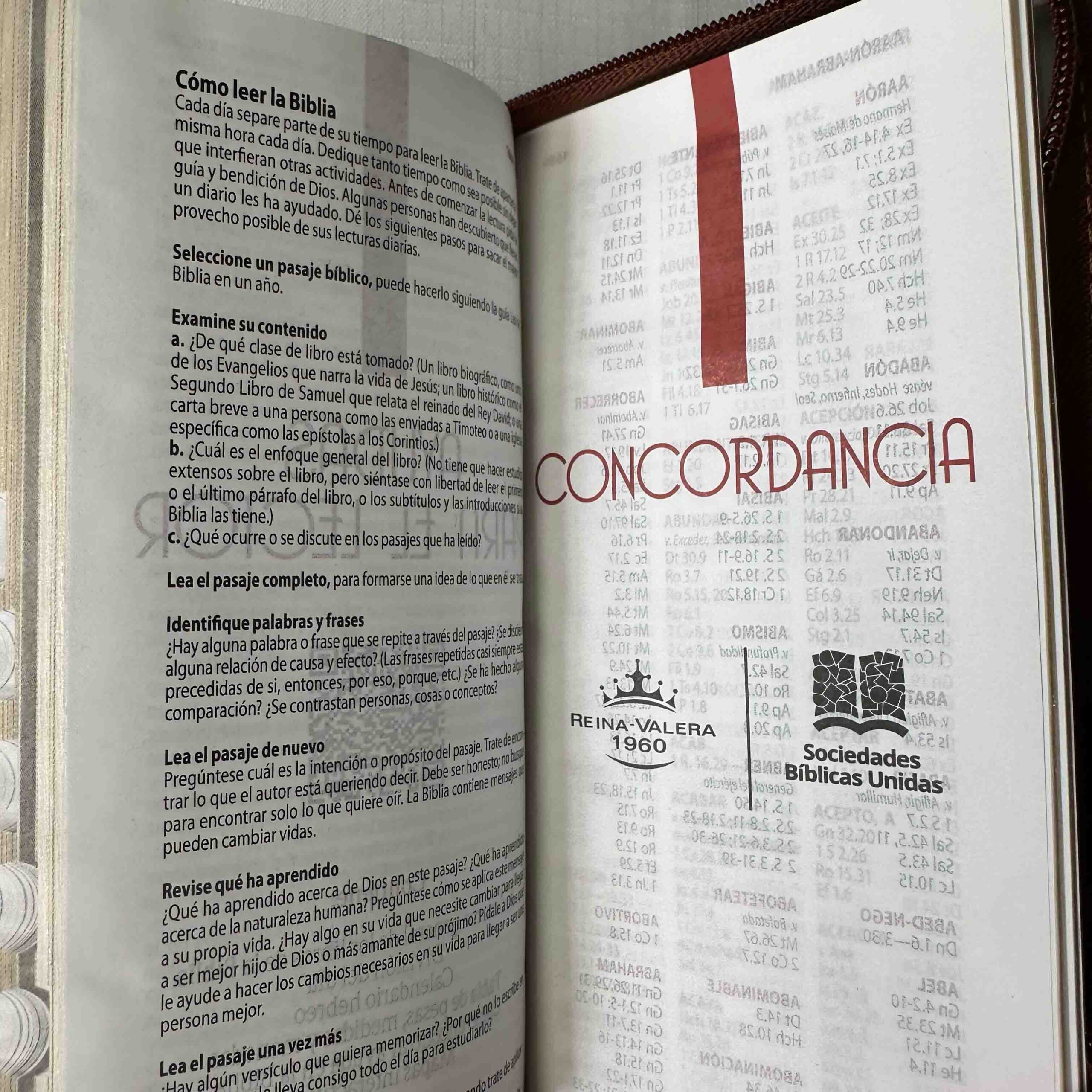 Biblia Reina Valera 1960 Tipo Agenda Café para Hombres – Chequera - Canto Dorado QR - Imagen 9