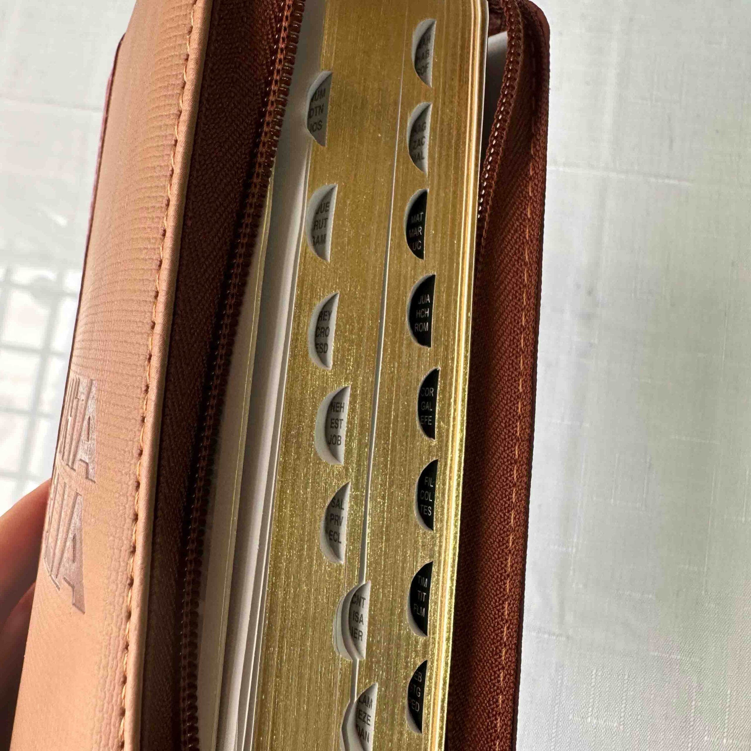 Biblia Reina Valera 1960 Tipo Agenda Café para Hombres – Chequera - Canto Dorado QR - Imagen 5