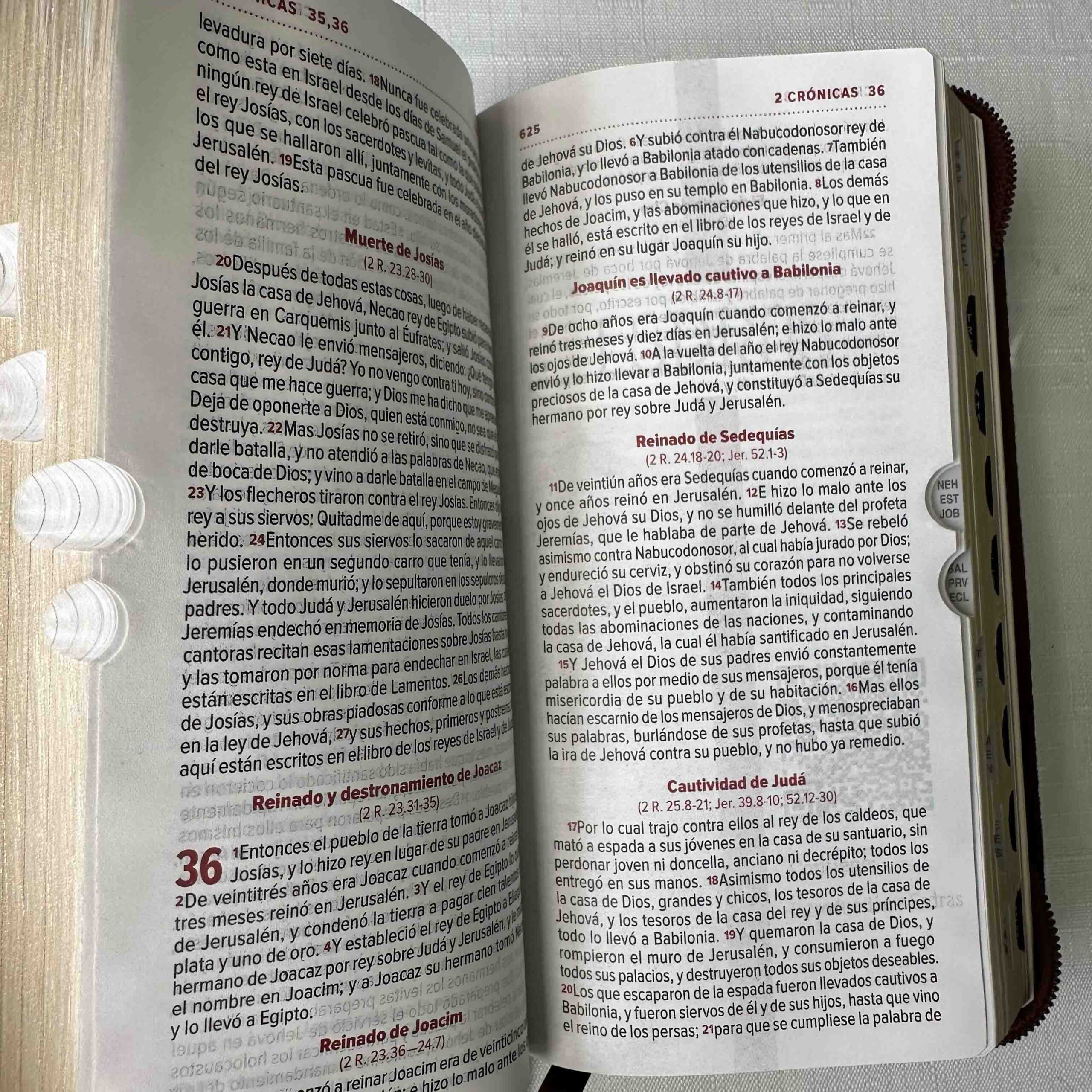 Biblia Reina Valera 1960 Tipo Agenda Café para Hombres – Chequera - Canto Dorado QR - Imagen 11