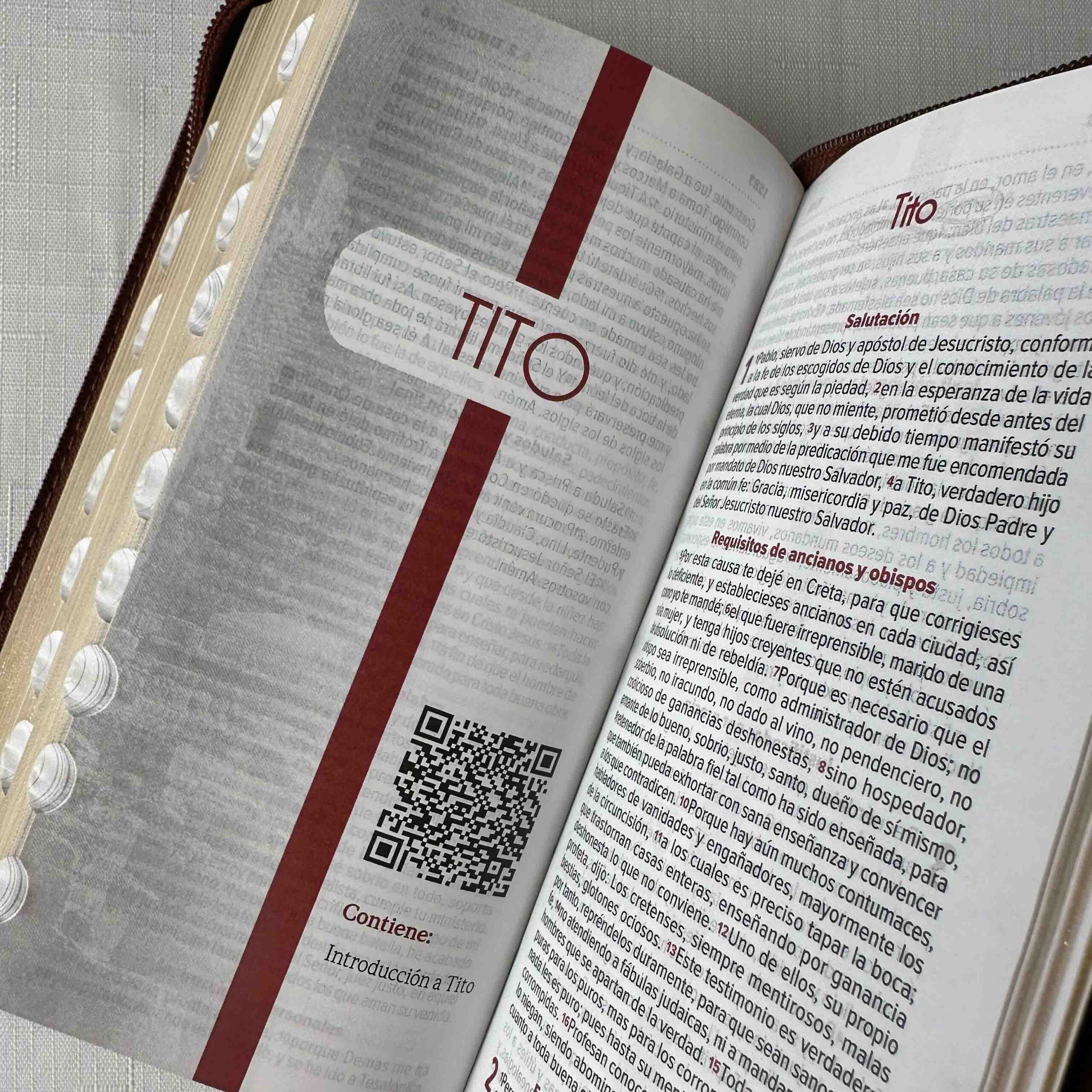 Biblia Reina Valera 1960 Tipo Agenda Café para Hombres – Chequera - Canto Dorado QR - Imagen 10