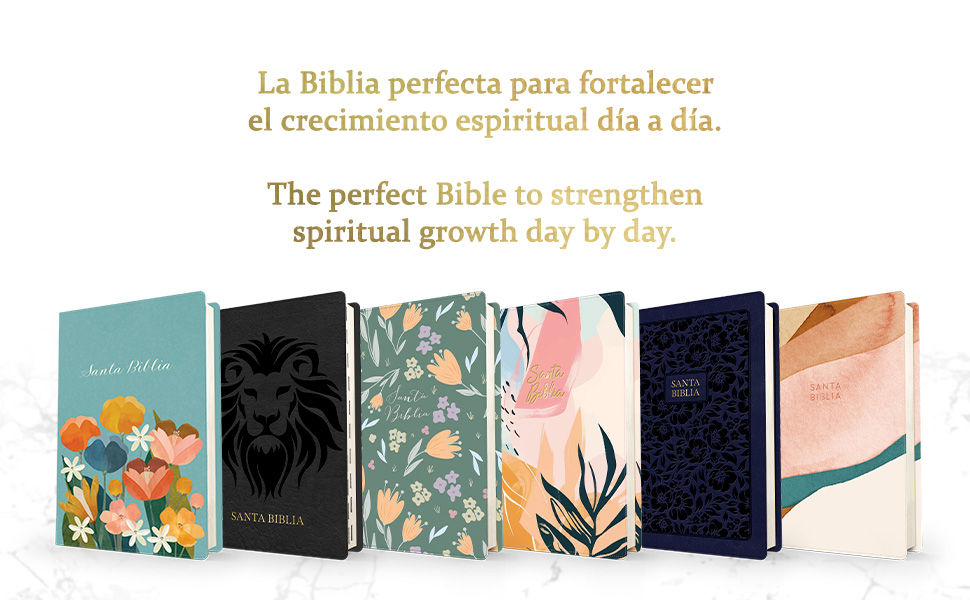 Biblia RVR60 Multicolor Letra Grande Tamaño Manual Imitacion Piel - Imagen 7