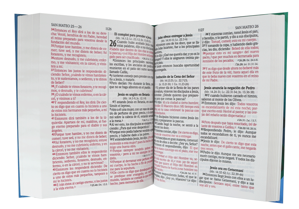 Biblia RVR60 Letra Gigante – Tapa dura - Imagen 3