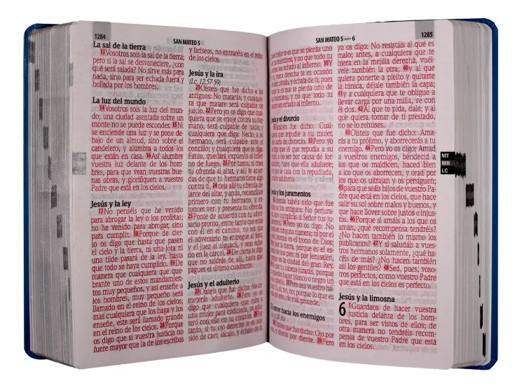 Biblia Letra Gigante Azul Flores 14 puntos - Imagen 3