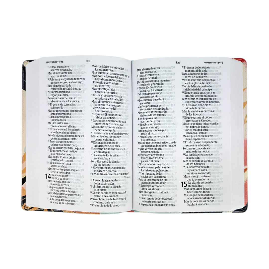 Biblia RVR60 Multicolor Letra Grande Tamaño Manual Imitacion Piel - Imagen 4