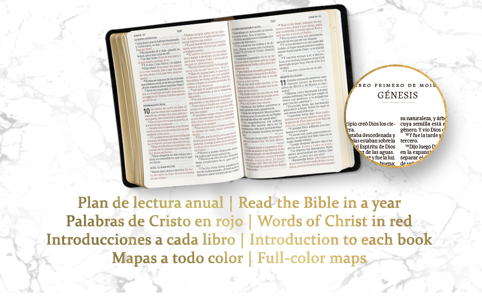 Biblia RVR60 Multicolor Letra Grande Tamaño Manual Imitacion Piel - Imagen 6