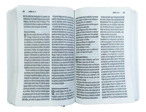 Biblia RVC Letra Gigante 14 Gamer Tapa Semiflexible Colores - Imagen 5