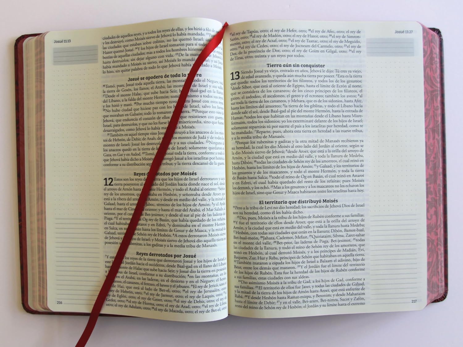 Biblia de Apuntes RVR 1960 Tapa dura Vinotinto - Imagen 12