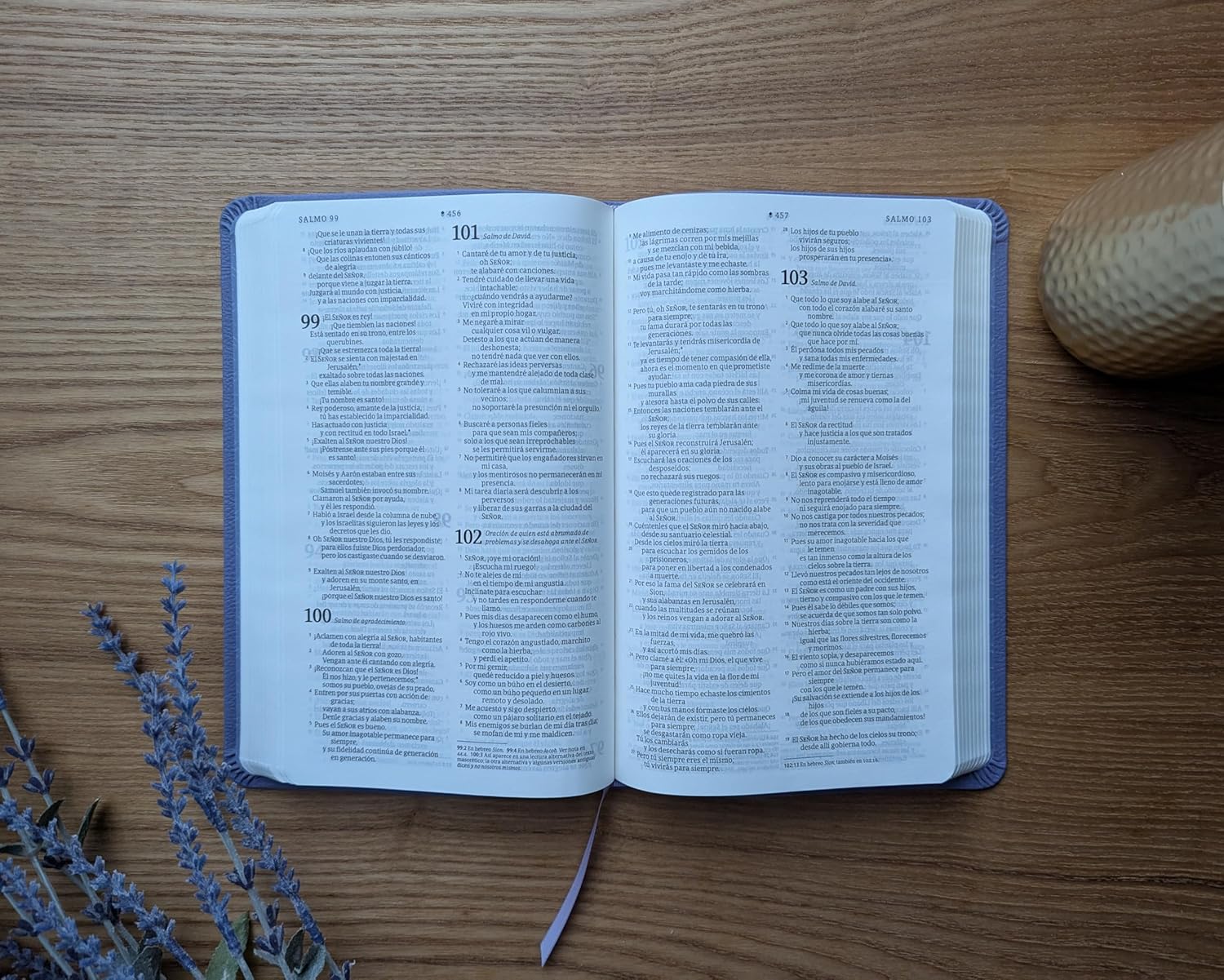 Biblia NTV Lavanda Valor Premium Filament - Imagen 7