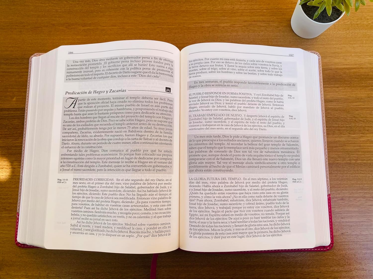 Biblia En Orden Cronologico RVR60 Rosa Imitacion Piel - Imagen 3