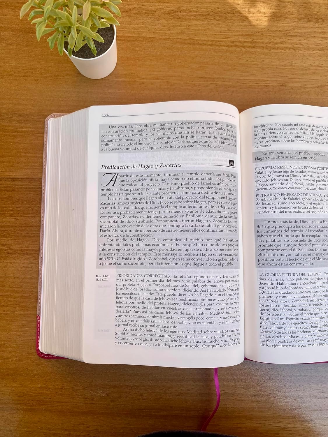 Biblia En Orden Cronologico RVR60 Rosa Imitacion Piel - Imagen 4