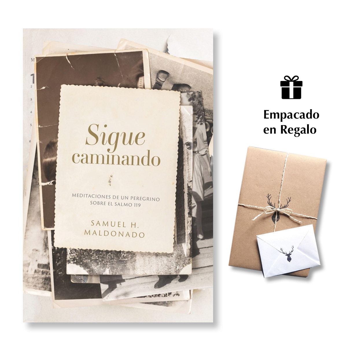 Sigue caminando - Meditaciones de un peregrino sobre el Salmo 119