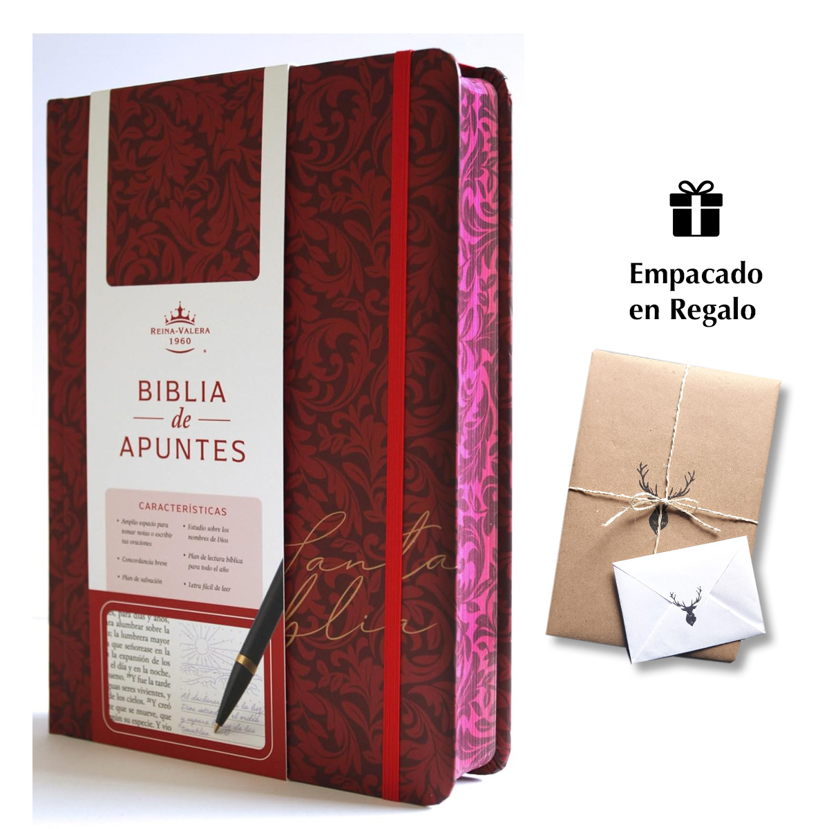 Biblia de Apuntes RVR 1960 Tapa dura Vinotinto