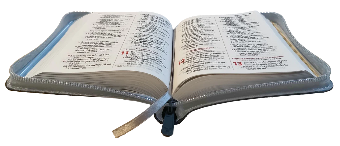 Biblia Reina Valera 1960 mediana RVR Letra Grande 11 puntos Gris Con Ayudas Digitales - Imagen 4