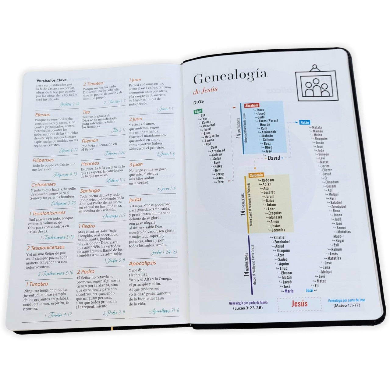 Biblia RVR60c Negro Geométrico Canto Dorado Premios Y Regalos - Imagen 4