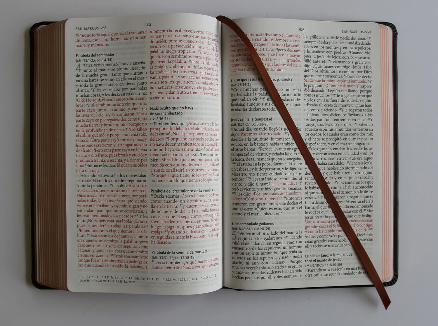 Biblia RVR 1960 Letra grande Edición León de Judá en Bronce 3D - Imagen 12