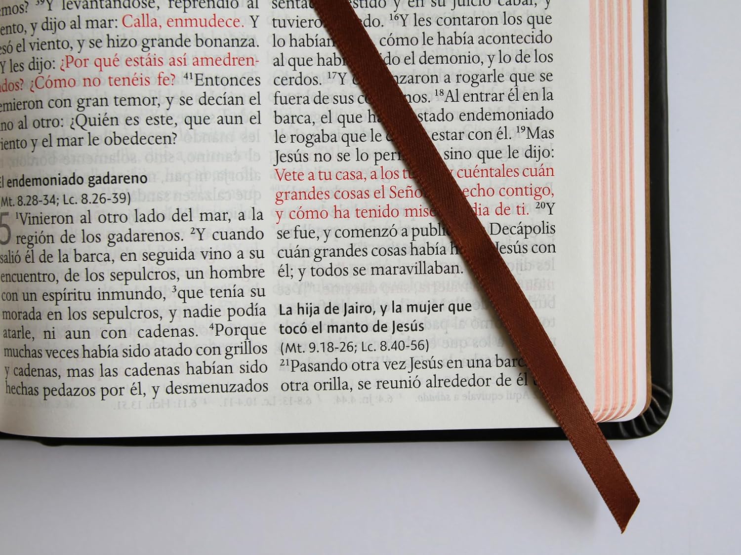 Biblia RVR 1960 Letra grande Edición León de Judá en Bronce 3D - Imagen 11