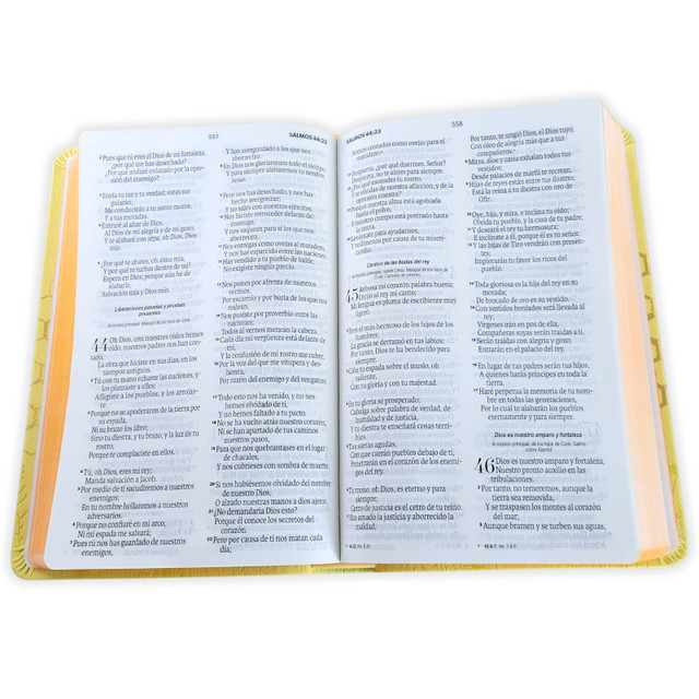 Biblia RVR 1960 Letra Grande Símil Piel Amarillo Abejitas - Imagen 2