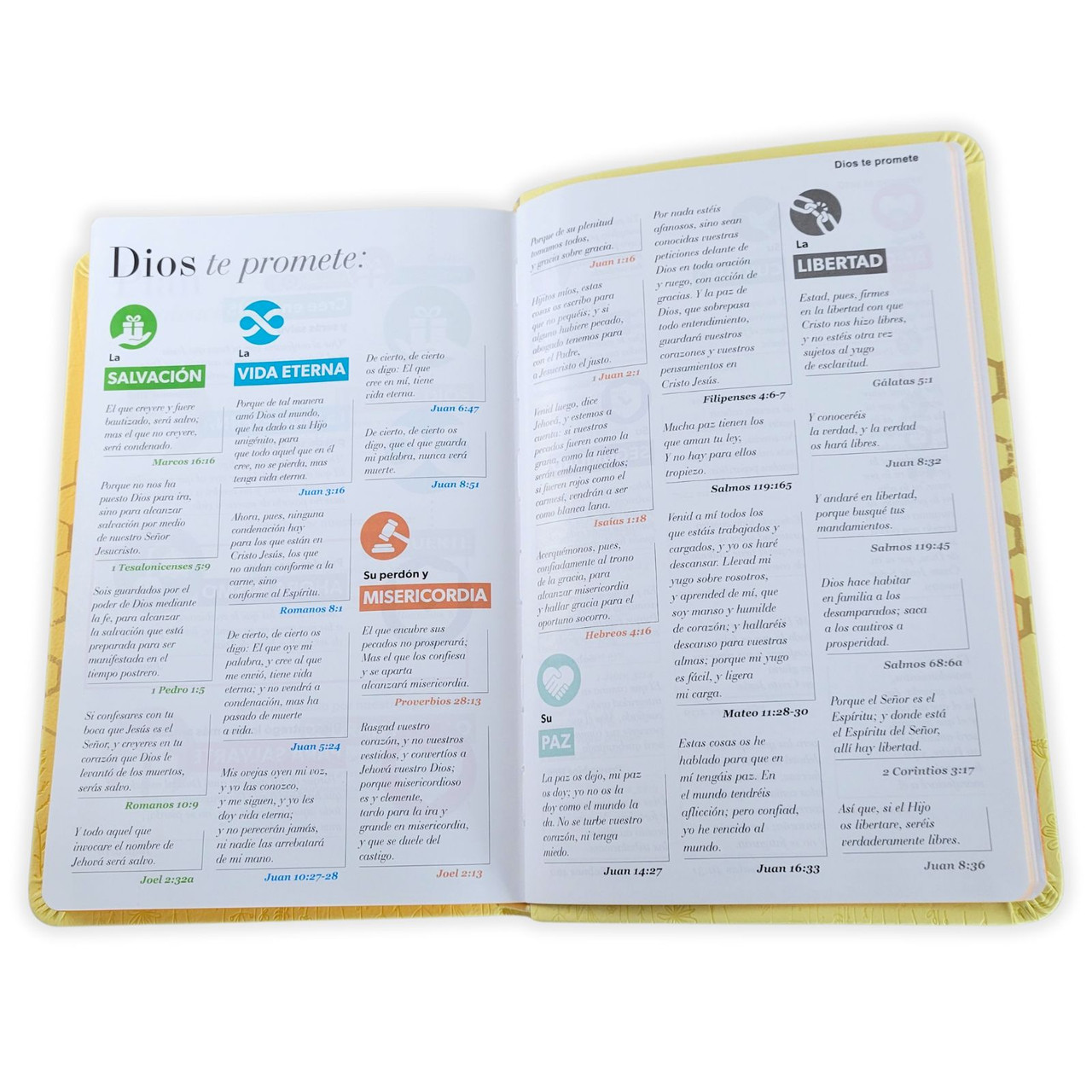 Biblia RVR 1960 Letra Grande Símil Piel Amarillo Abejitas - Imagen 5