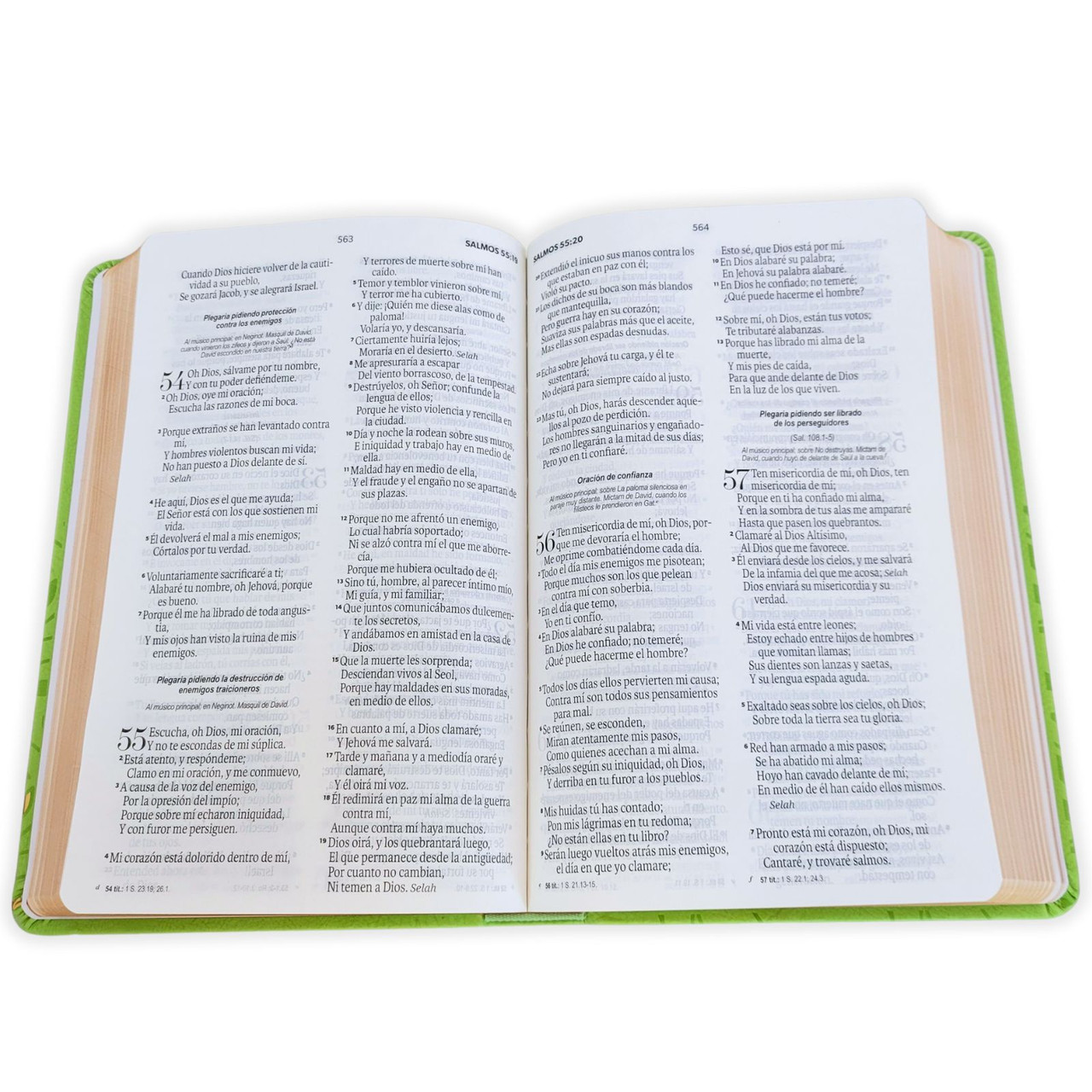 Biblia Rvr 1960 Letra Grande Símil Piel Verde Olivo - Imagen 2