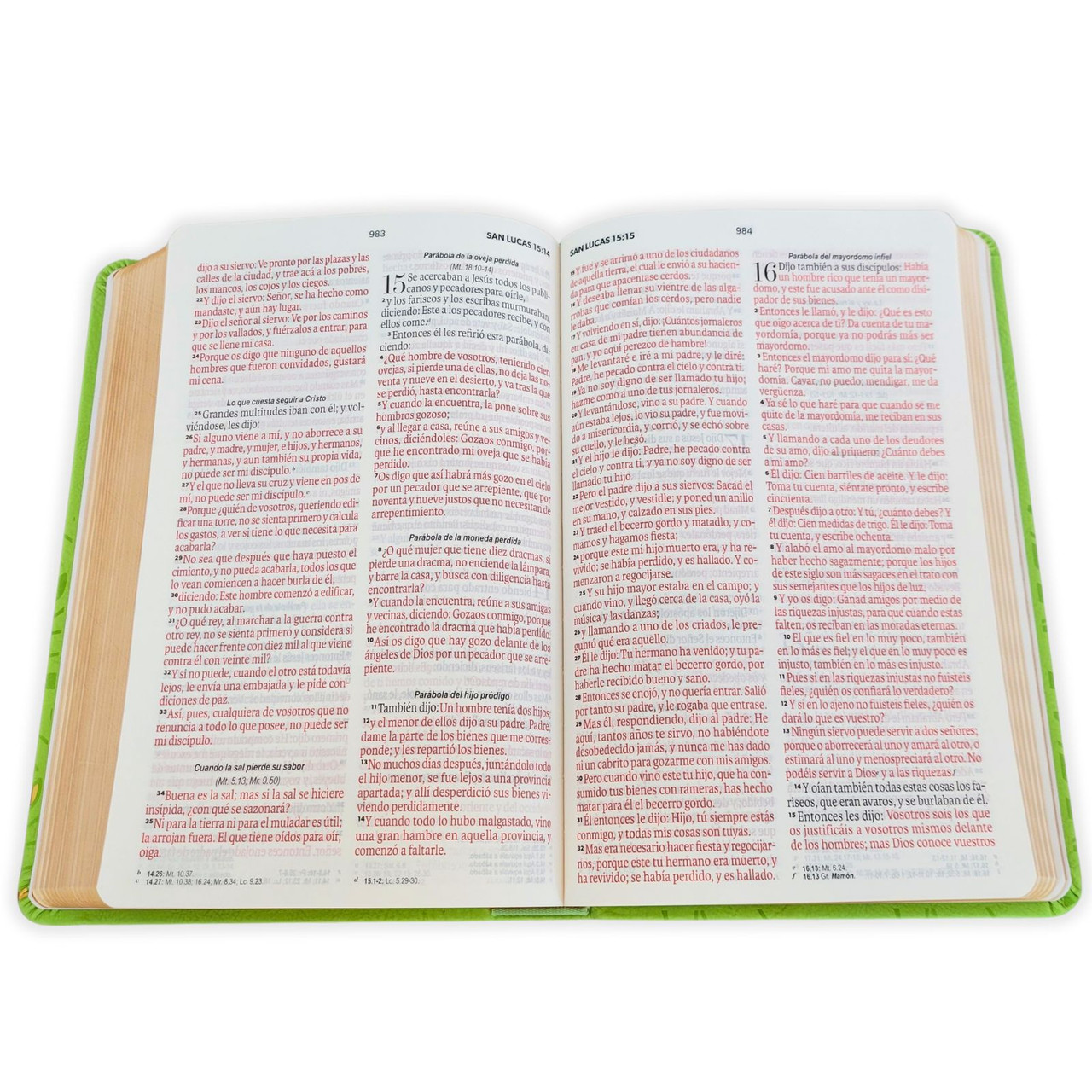 Biblia Rvr 1960 Letra Grande Símil Piel Verde Olivo - Imagen 3