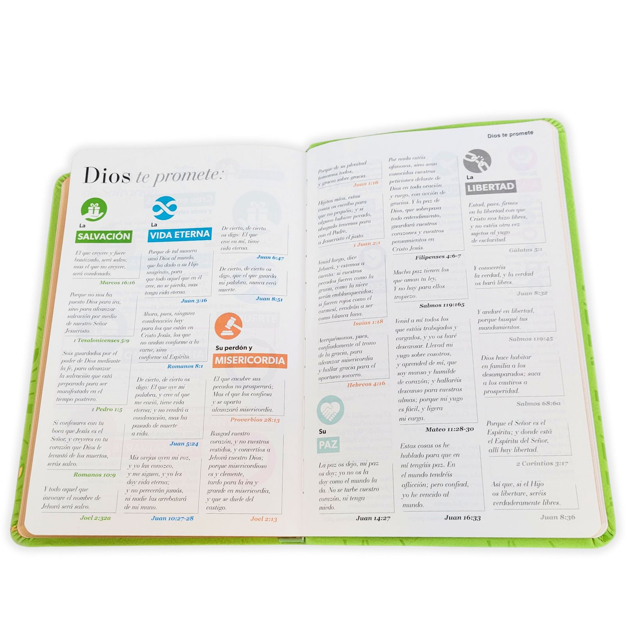 Biblia Rvr 1960 Letra Grande Símil Piel Verde Olivo - Imagen 5