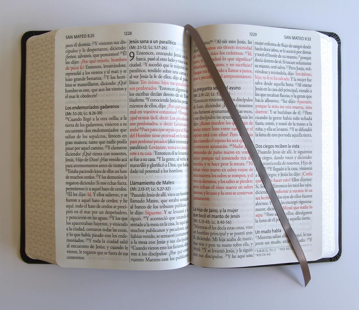 Biblia RVR60 Gris Letra Gigante Imitacion Piel Cantos Pintado - Imagen 6