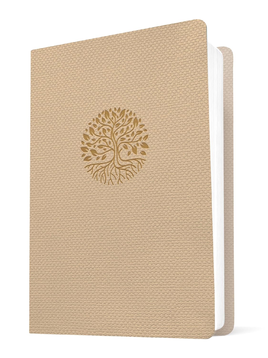 Biblia NTV Beige Letra Grande Valor Premium Filament - Imagen 2