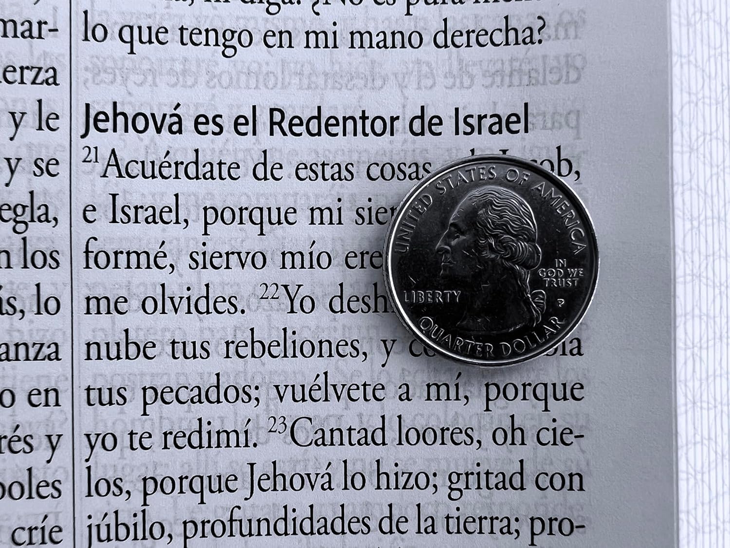 Biblia RVR60 Rosada Flores Letra Gigante Imitacion Piel Canto Pintado - Imagen 4