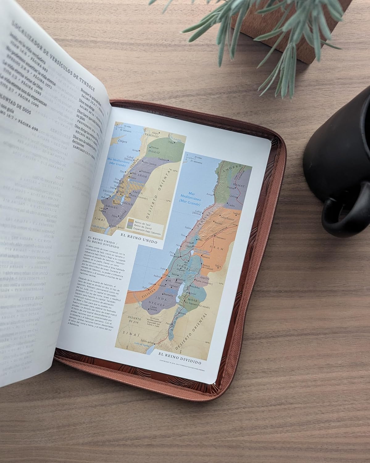Biblia NTV Cafe Cierre Letra Grande Ultrafina Filament - Imagen 6